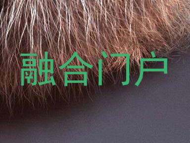 融合门户