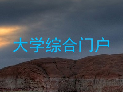 大学综合门户