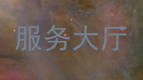 服务大厅