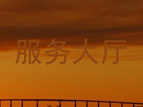 服务大厅
