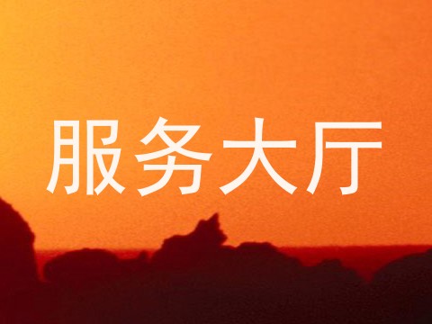 服务大厅