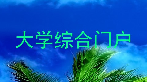 大学综合门户