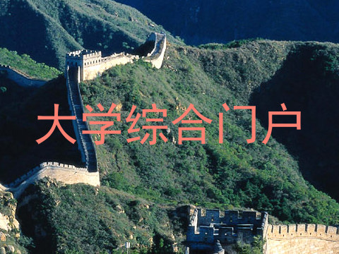 大学综合门户