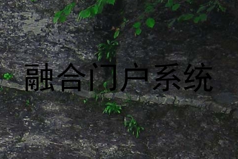 融合门户系统