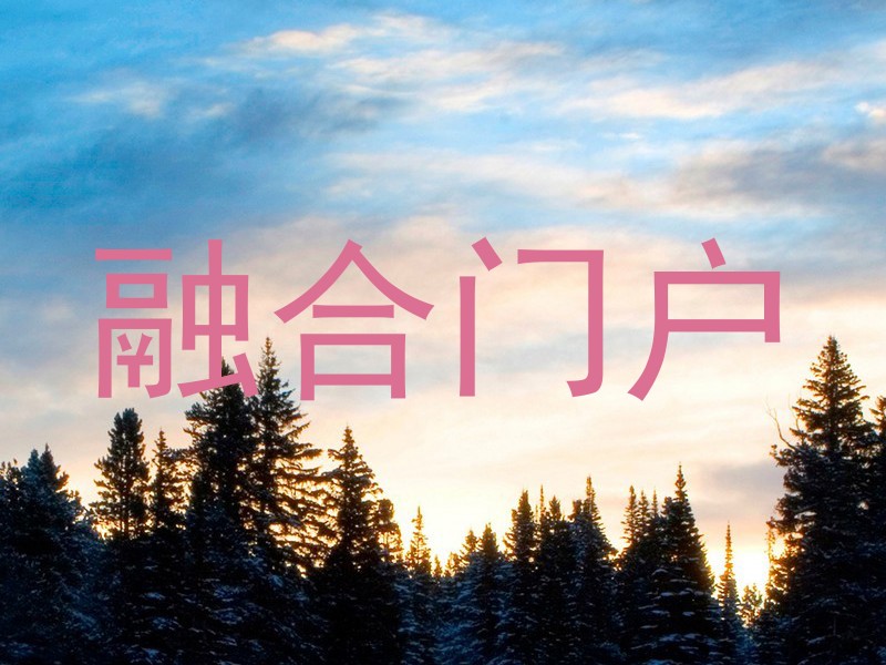 融合门户
