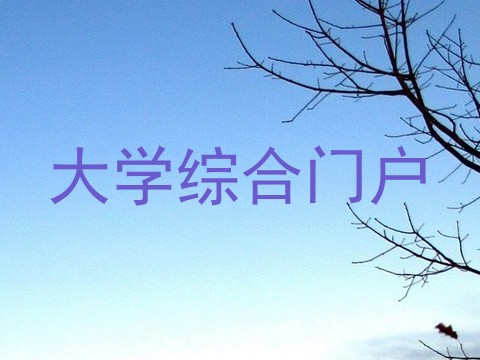 大学综合门户