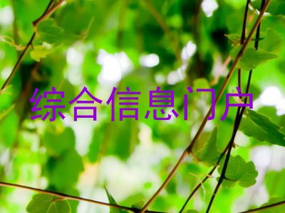 综合信息门户