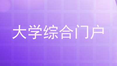 大学综合门户