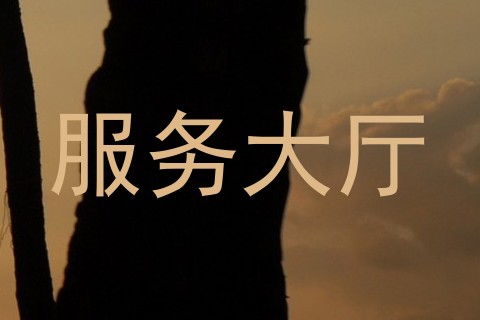 服务大厅