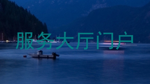 服务大厅门户