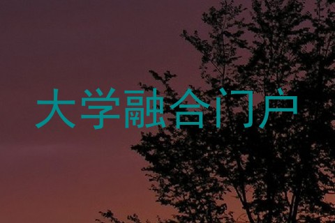 大学融合门户