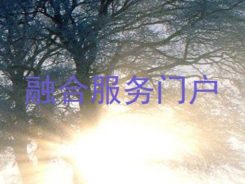 融合服务门户