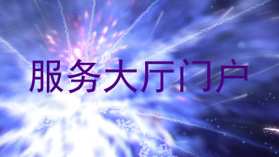 服务大厅门户