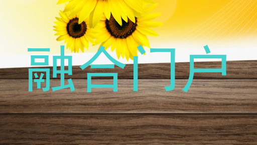 融合门户
