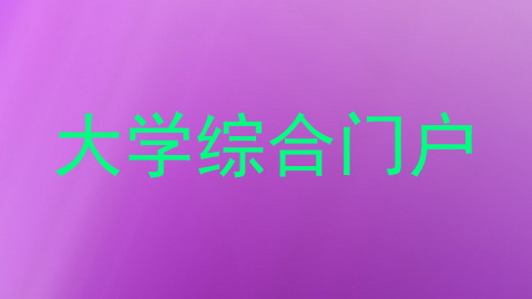 大学综合门户