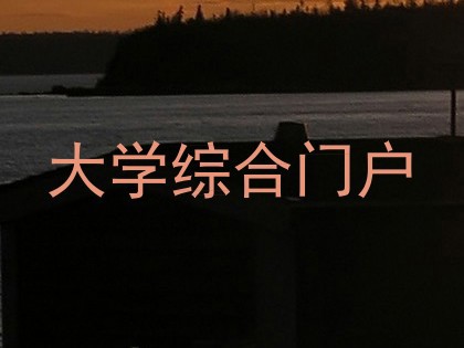 大学综合门户