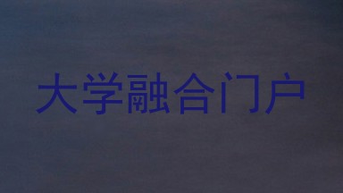 大学融合门户