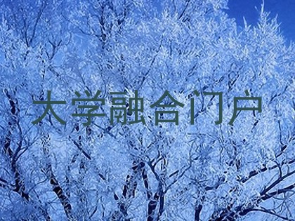 大学融合门户