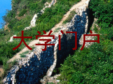 大学门户