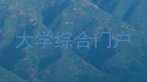 大学综合门户