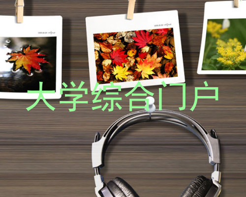 大学综合门户