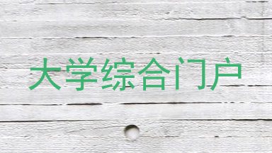 大学综合门户