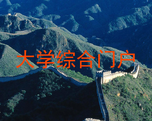 大学综合门户