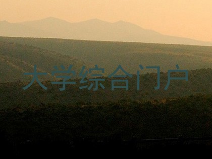 大学综合门户