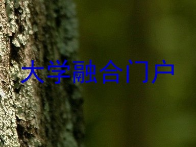 大学融合门户