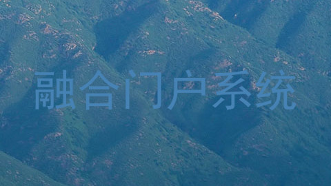 融合门户系统