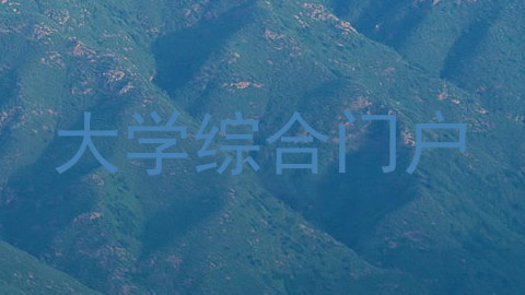 大学综合门户