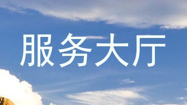 服务大厅