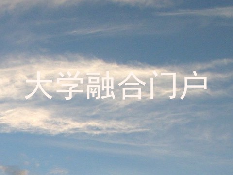 大学融合门户