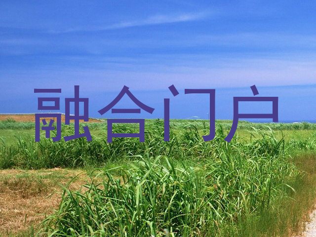 融合门户