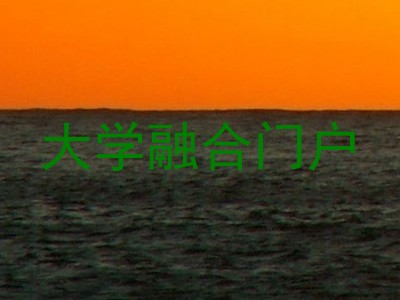 大学融合门户