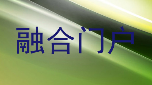 大学综合门户