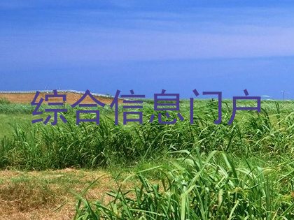 综合信息门户