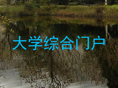 大学综合门户