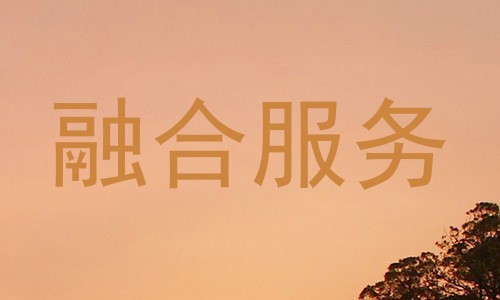 融合服务