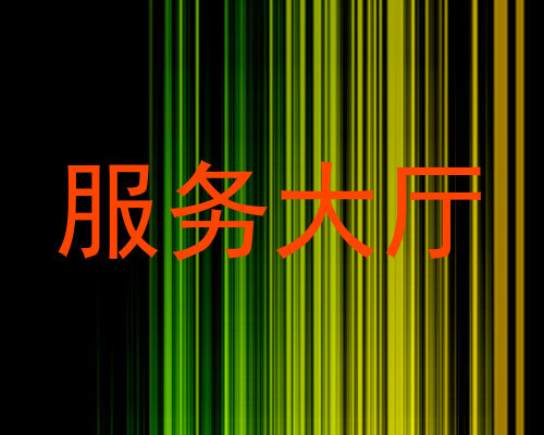 服务大厅