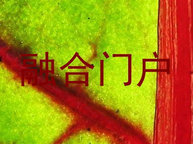 融合门户