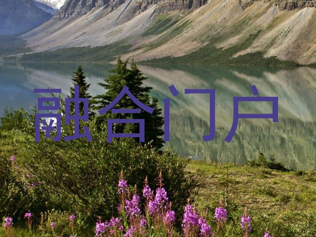 融合门户