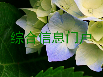 综合信息门户