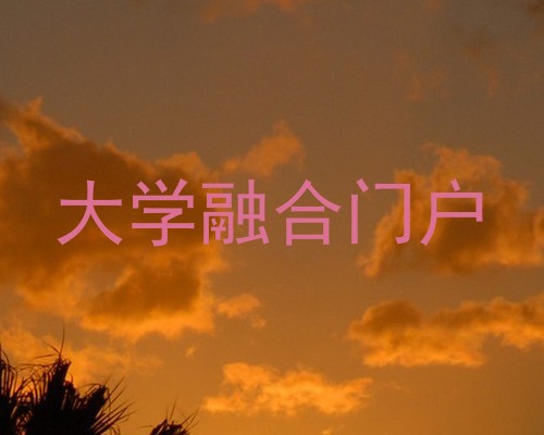 大学融合门户