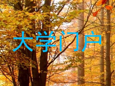大学门户