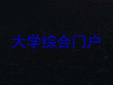 大学综合门户