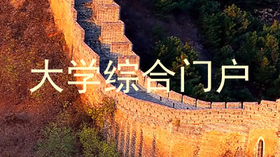 大学综合门户