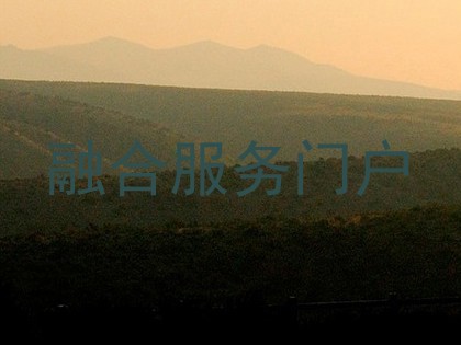 融合服务门户