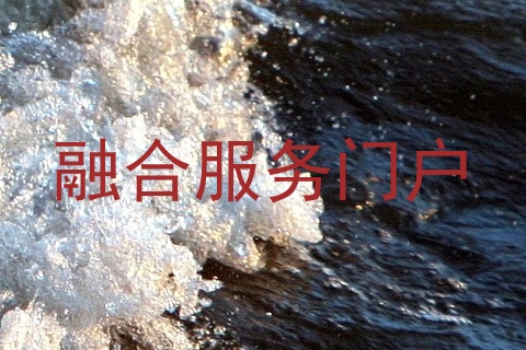 融合服务门户
