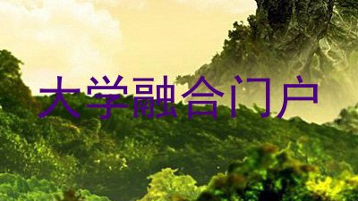大学融合门户